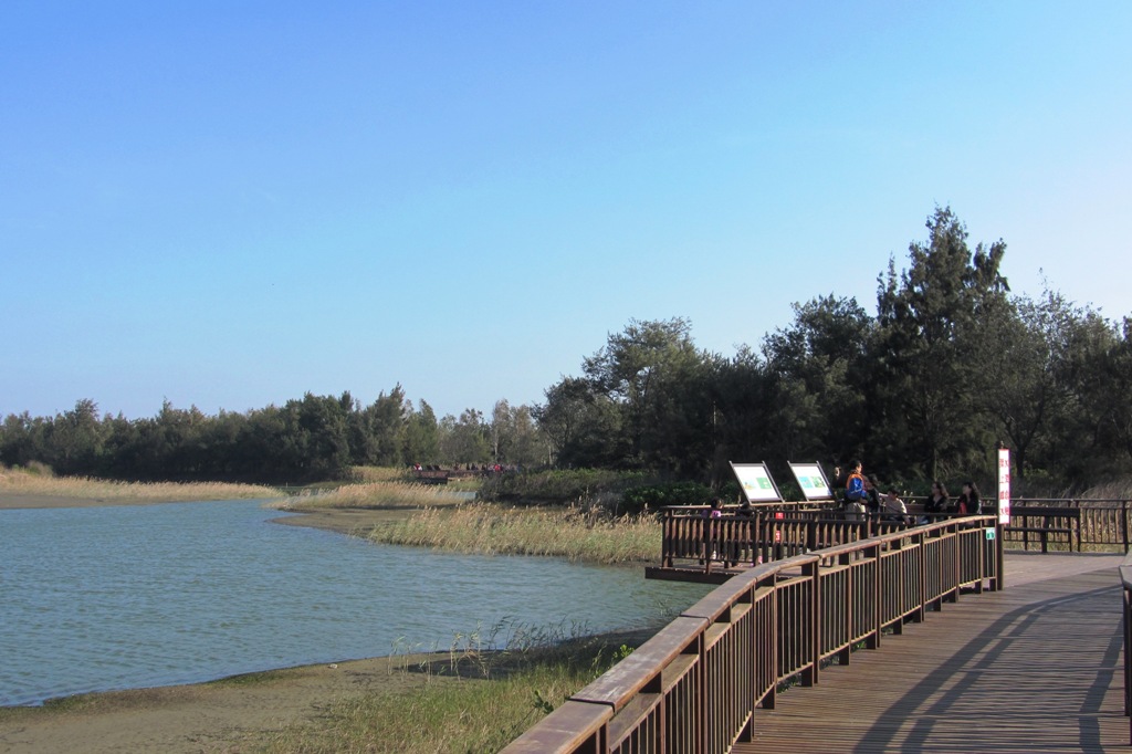 South Levee Artificial Wetland
