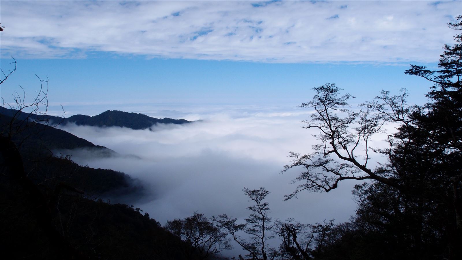 觀霧國家森林遊樂區雲海