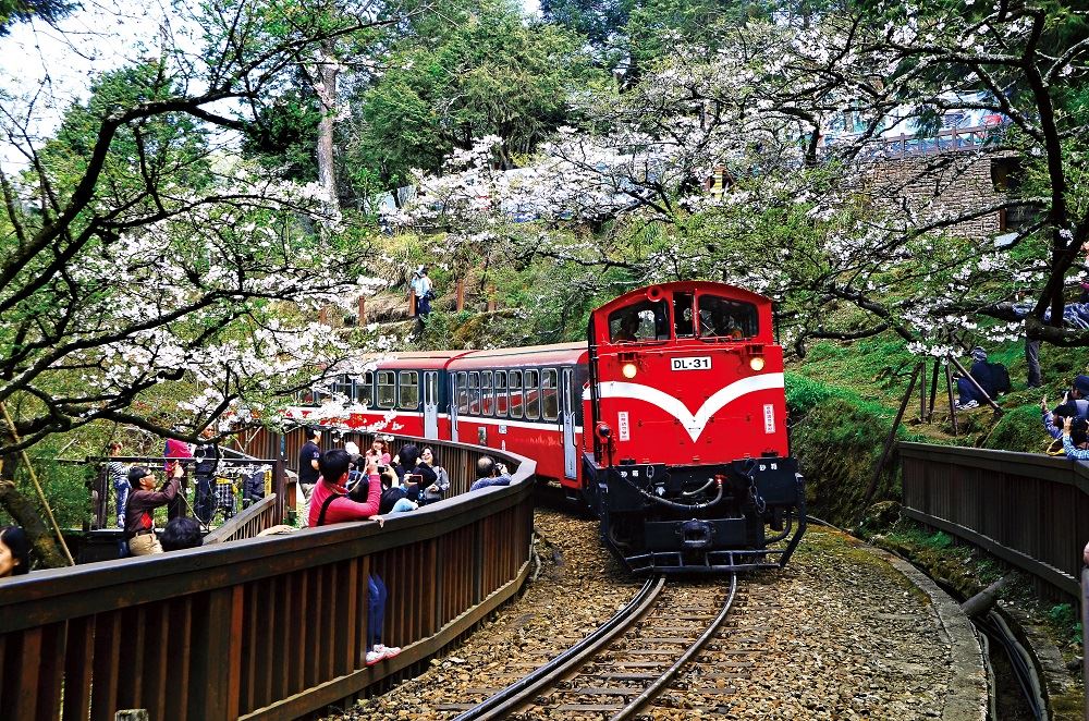 櫻花火車