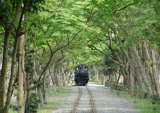 森林、鐵道、小火車