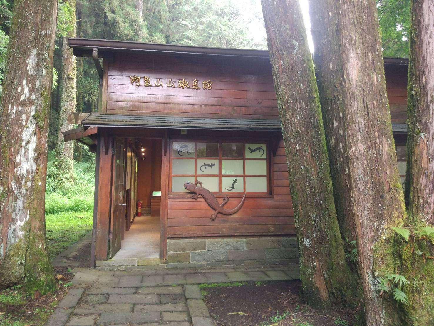 阿里山山椒魚故事館