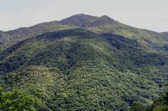 帽子山步道