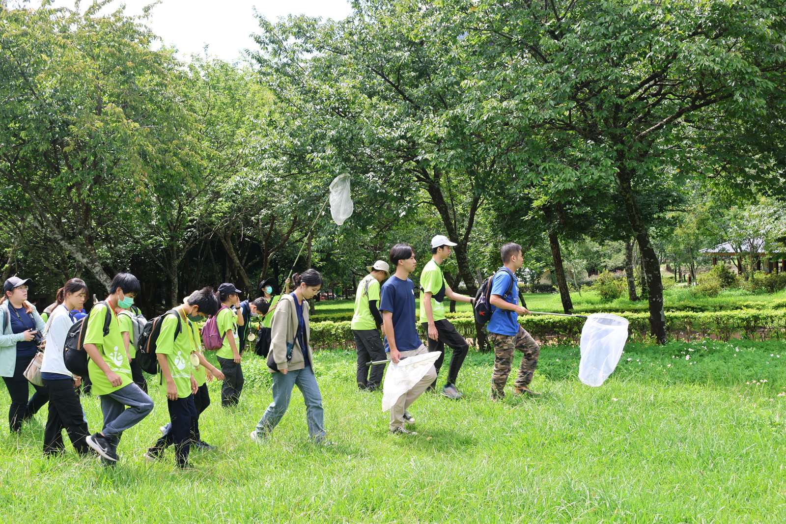 走入森林中，從環境現象發覺探究主題