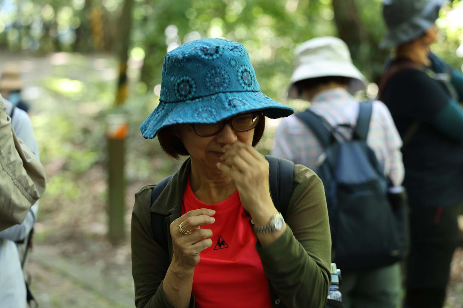 運用五感探索森林