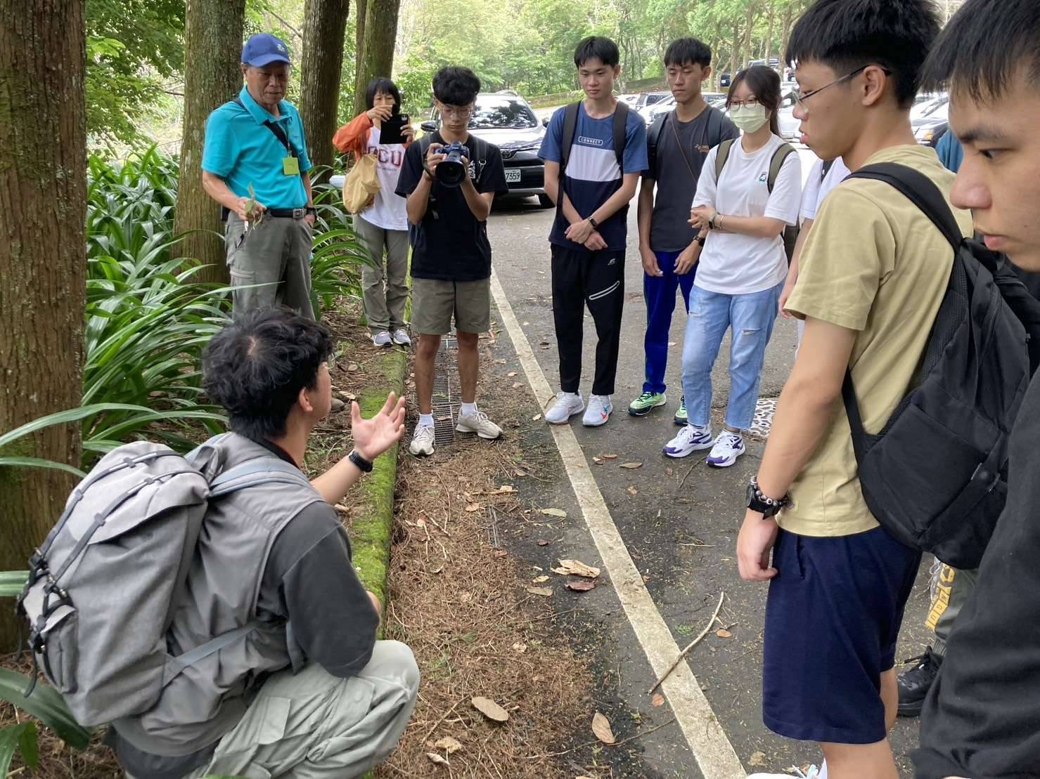 探索八仙山森林步道中的動、植物
