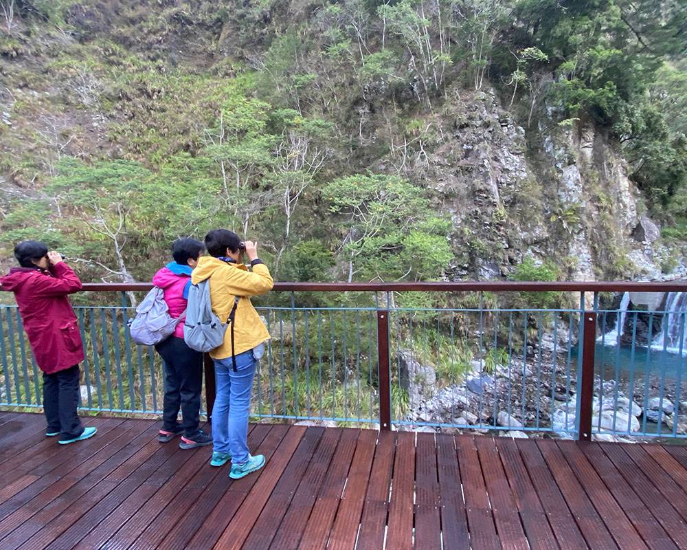 114年學員開心賞鳥(八仙山)