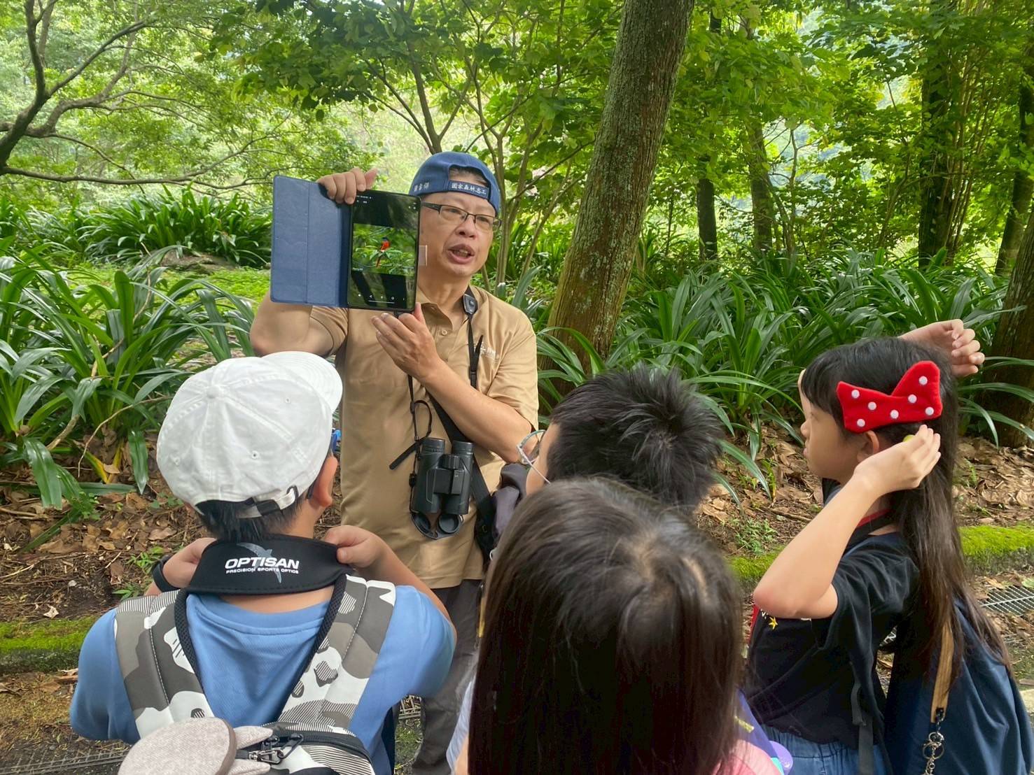 學會辨認鳥形與鳥音