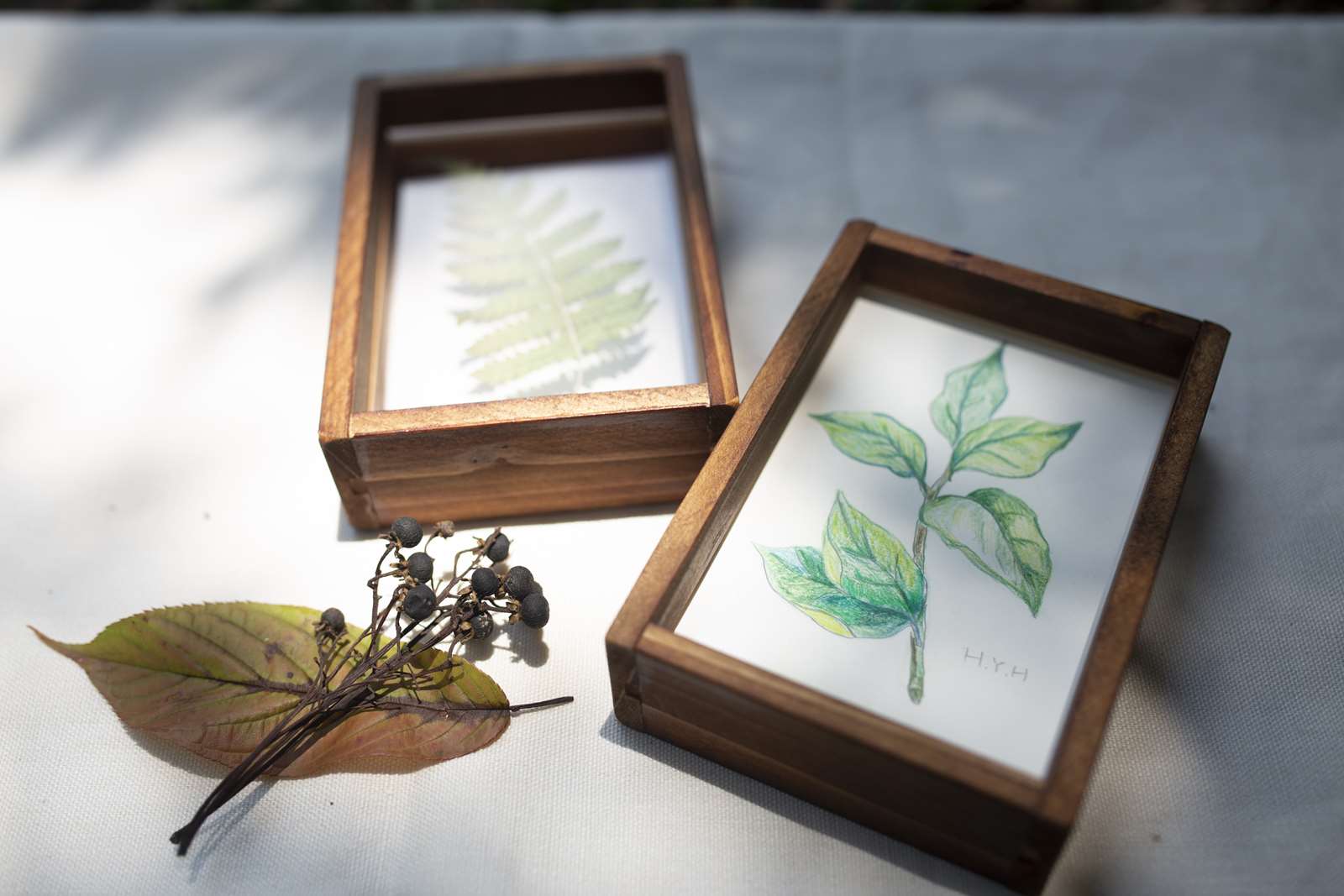 參與「畫一座森林」及「一葉知森」者，皆可獲得一臺灣杉畫框