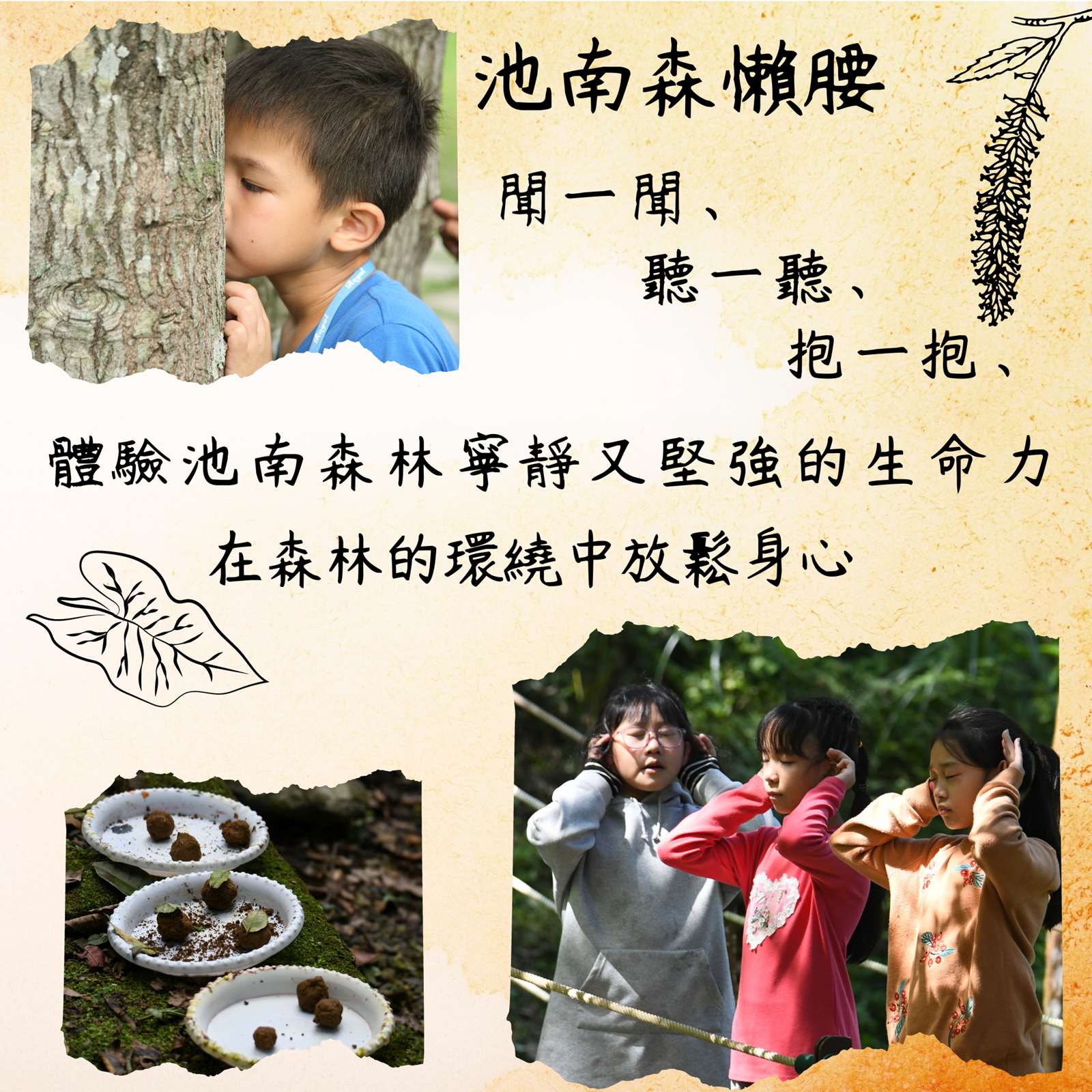 在森林的環繞中放鬆身心