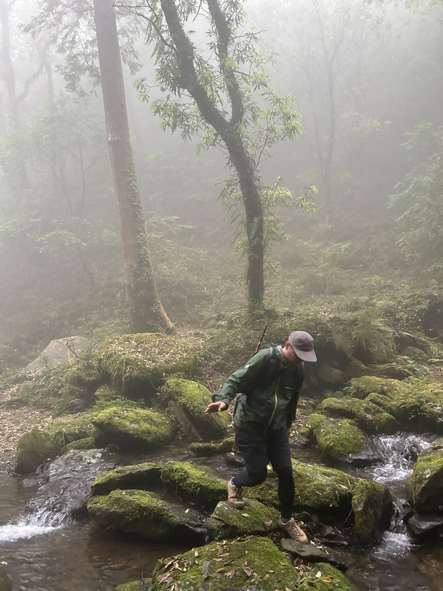 越過小溪，離神木越靠近