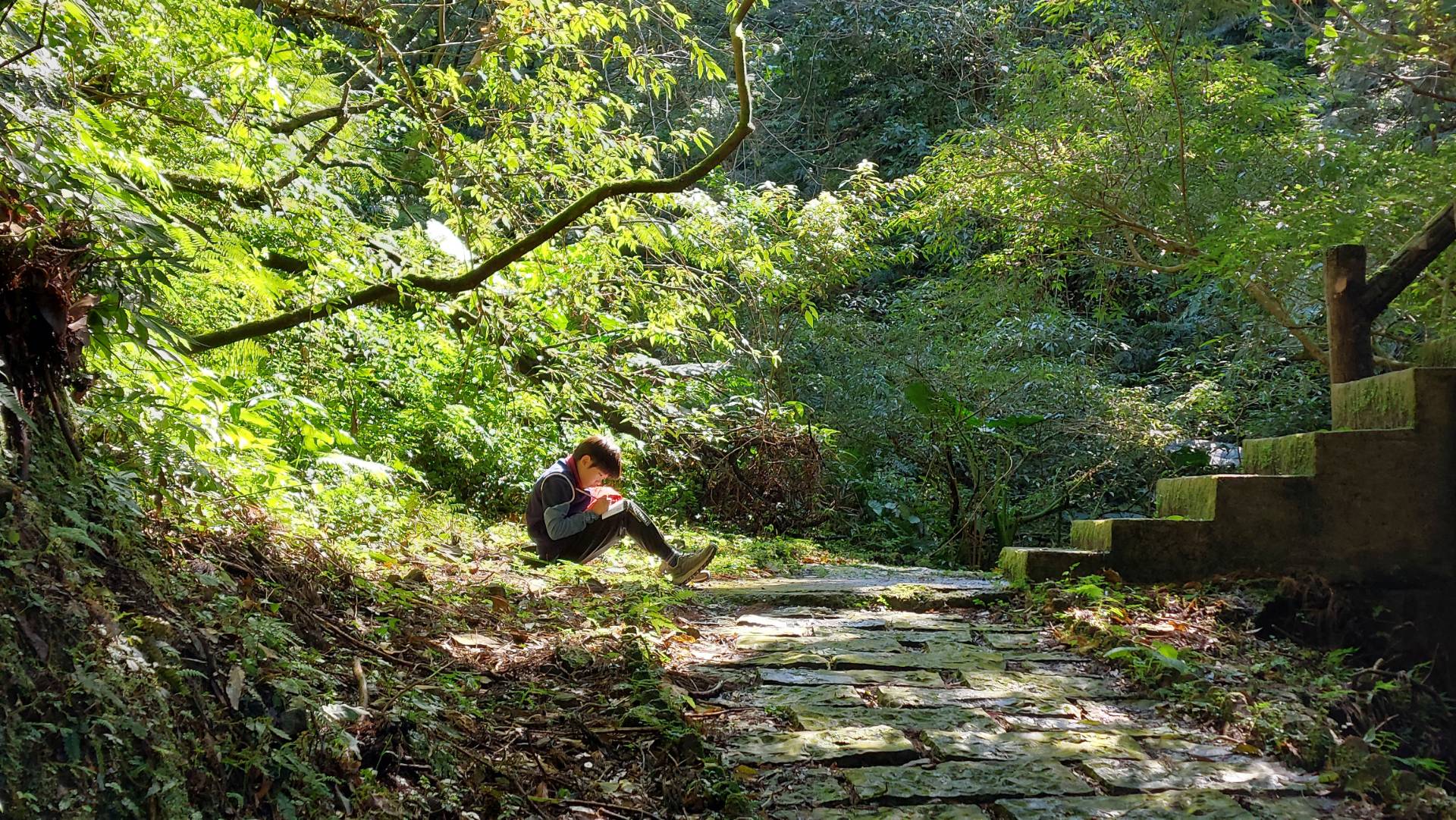 森林獨處，讓心靈沉靜