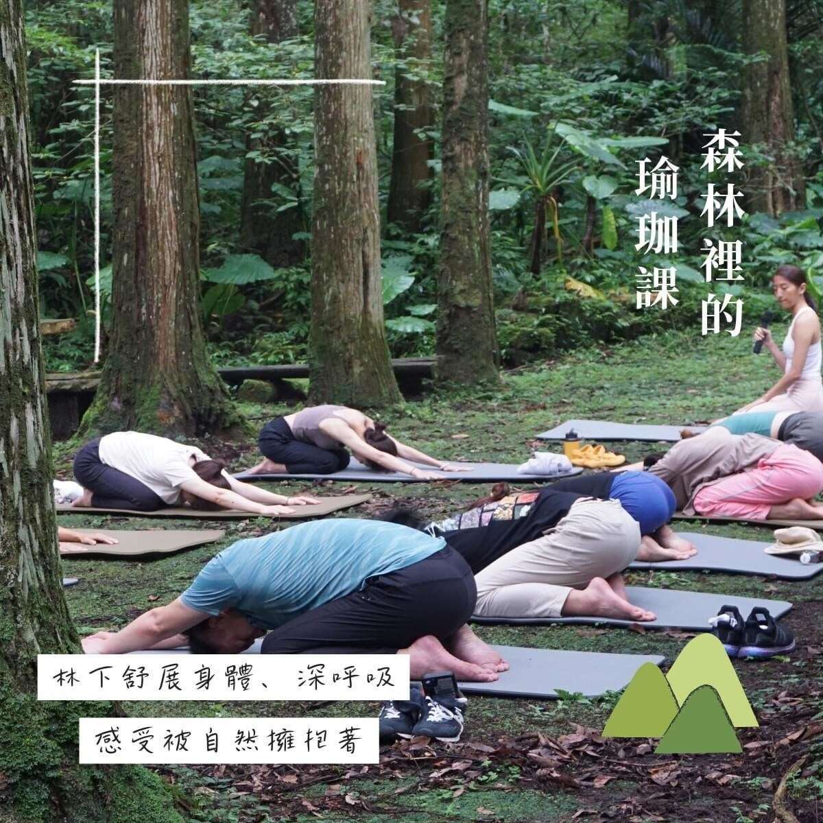 在芬多精的擁抱中，進行瑜珈練習，在森林環境音中，安定身心，舒展身體，緩解日常疲勞
