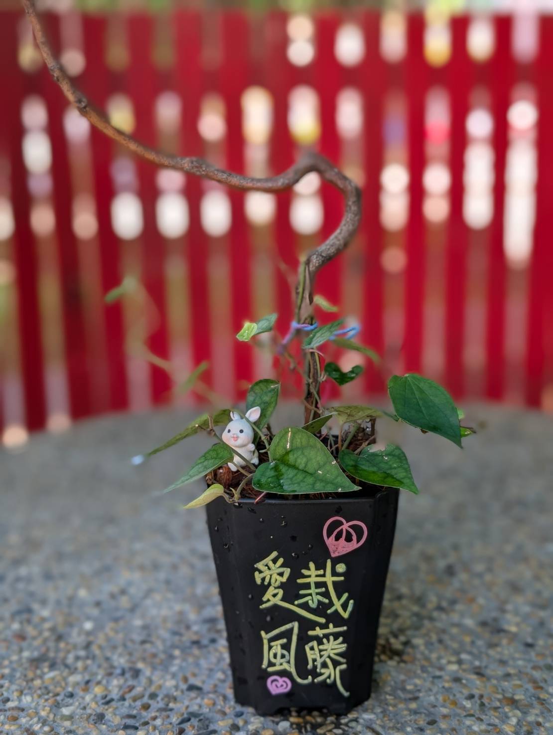 成品示意圖