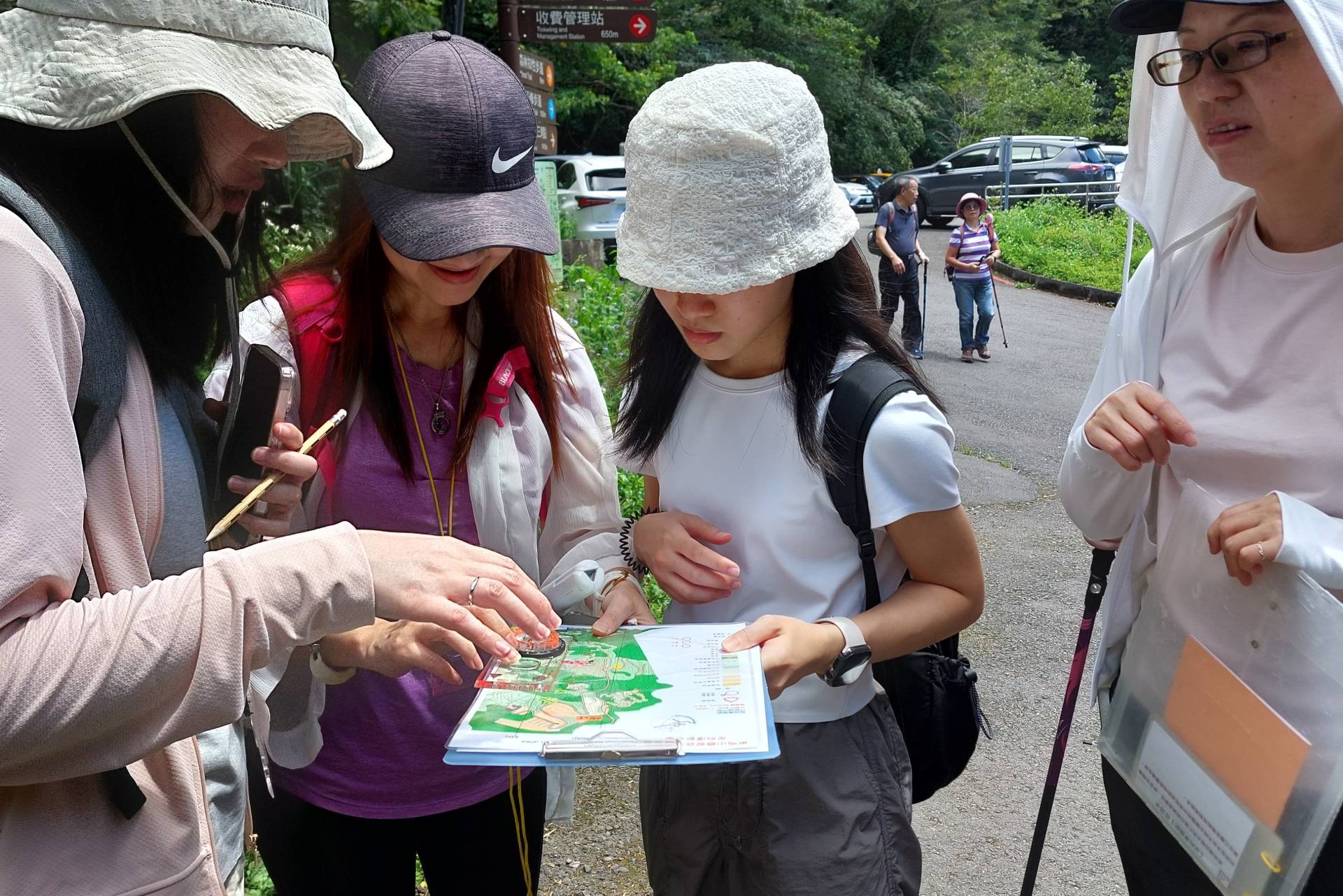 團隊合作，探索森林