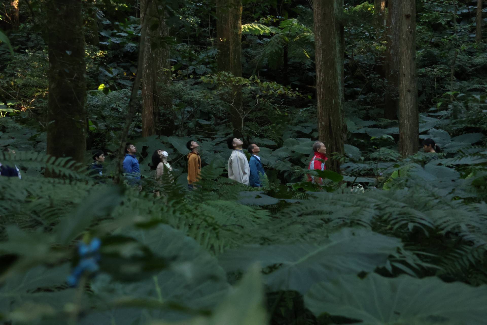 專注自身，感受森林