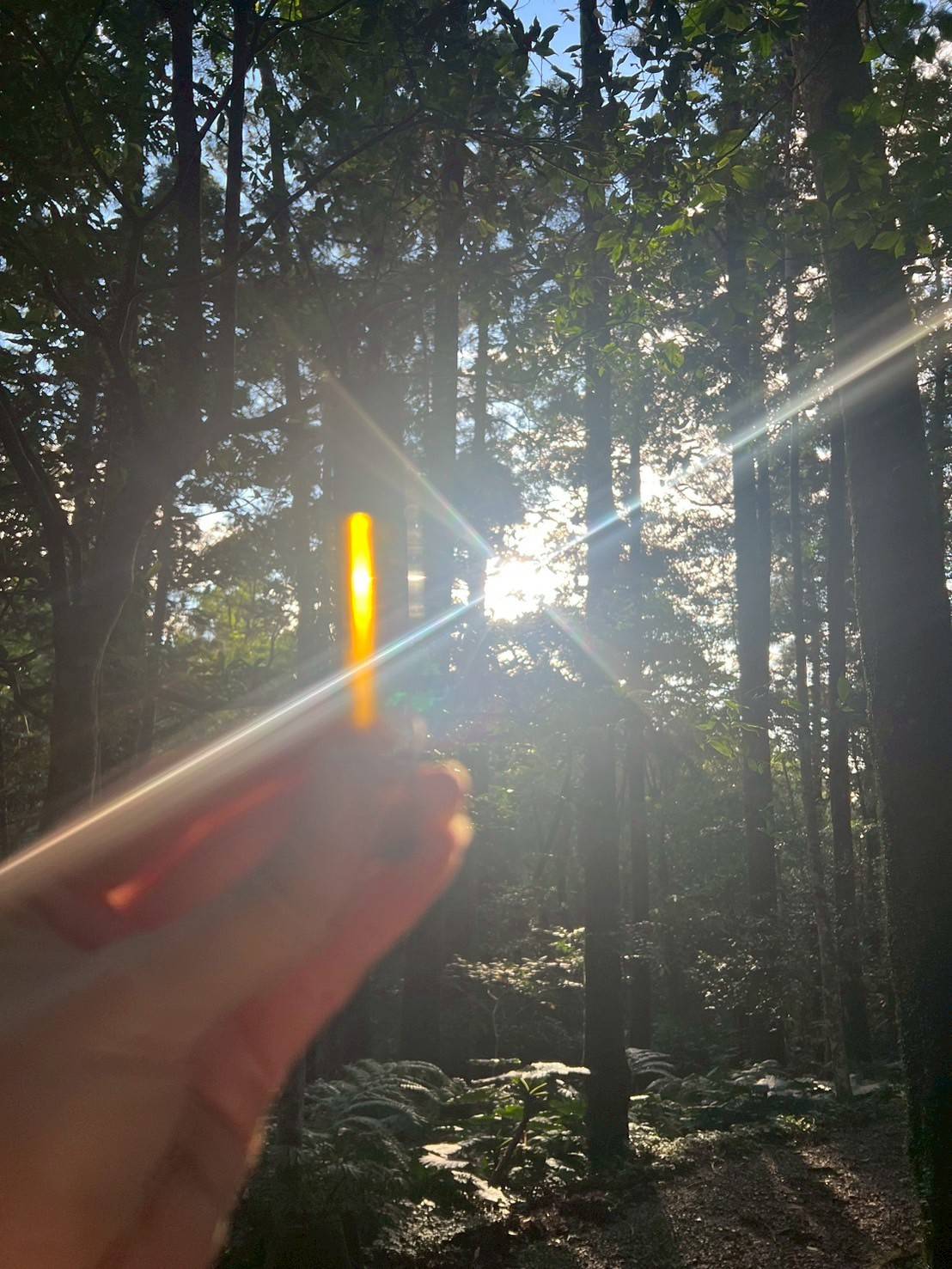 森林精油瓶調製