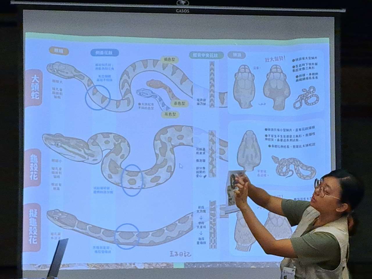 露營前,學習可能遇到的野生生物以及自保方法