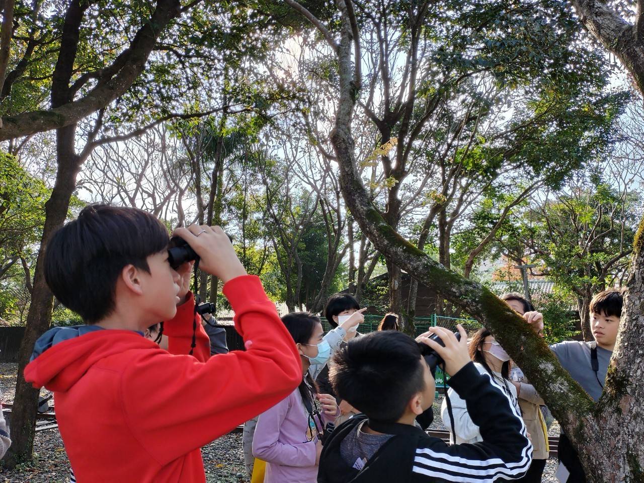 人手一支雙筒望遠鏡，在林場練習野鳥的觀察技巧。
