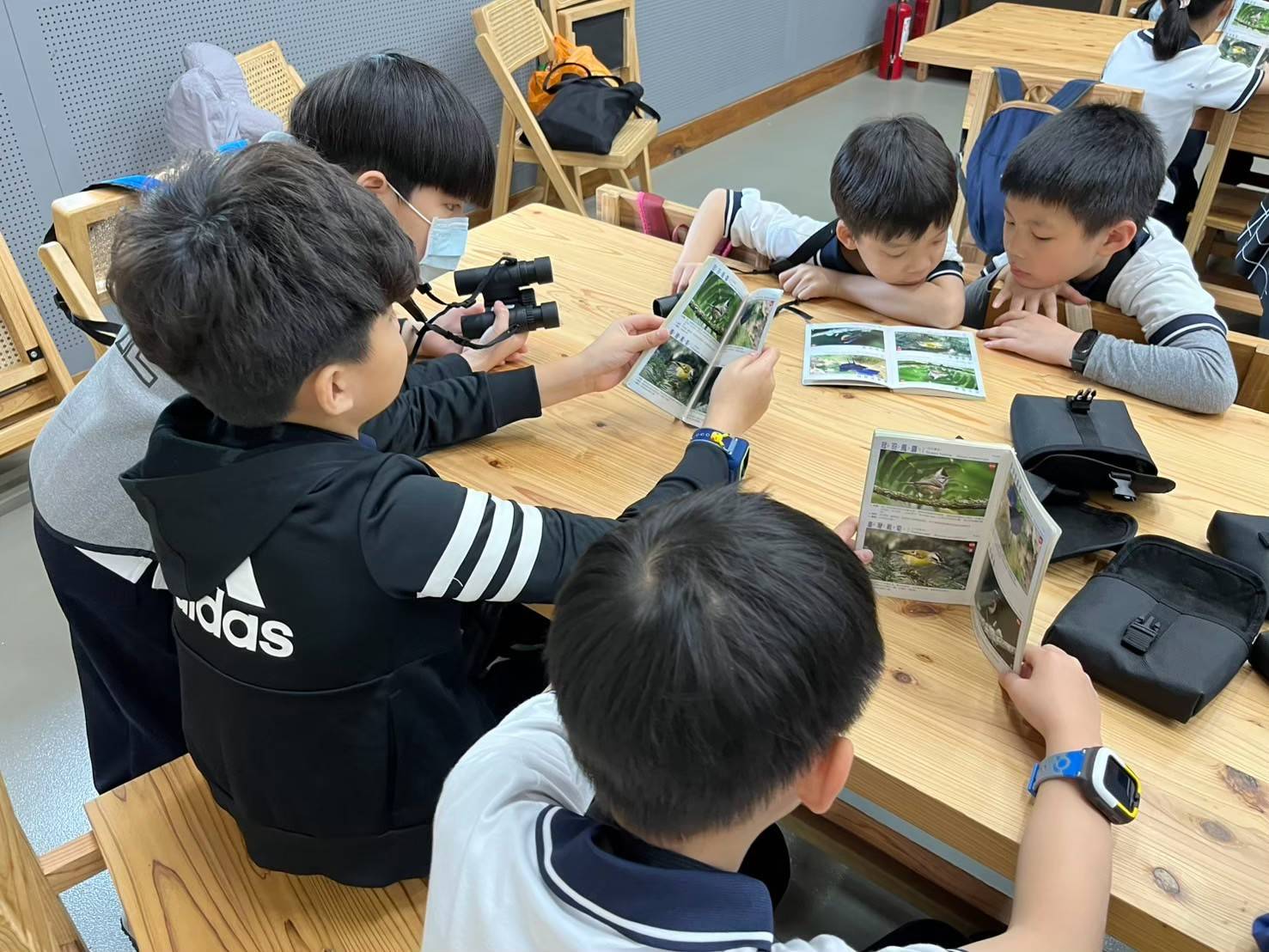 學習野鳥的觀察技巧。