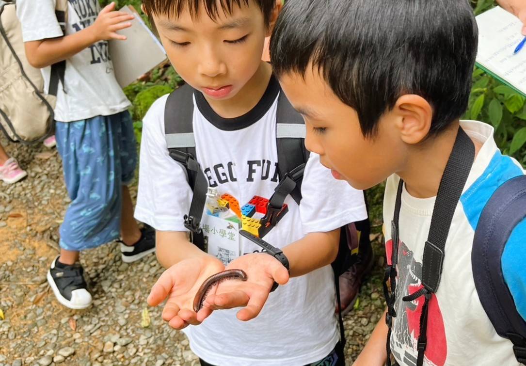 練習成為自然觀察家，勇敢走進大自然找動物