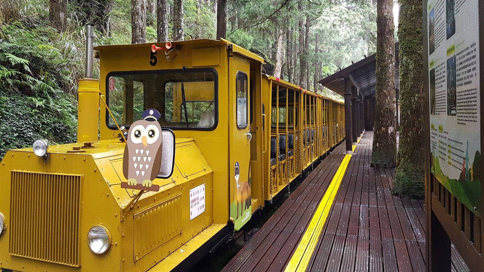 搭乘蹦蹦車深入茂興車站，感受高山檜木林