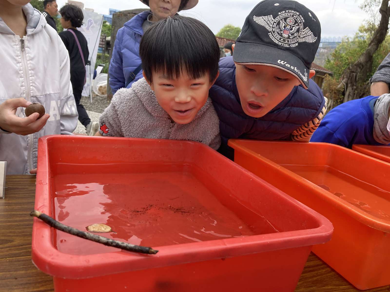 水力種子遊戲