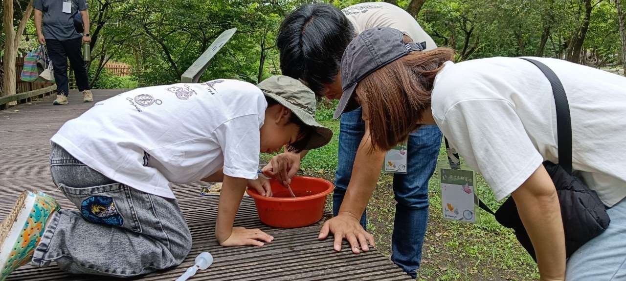 同心協力,觀察水生生物
