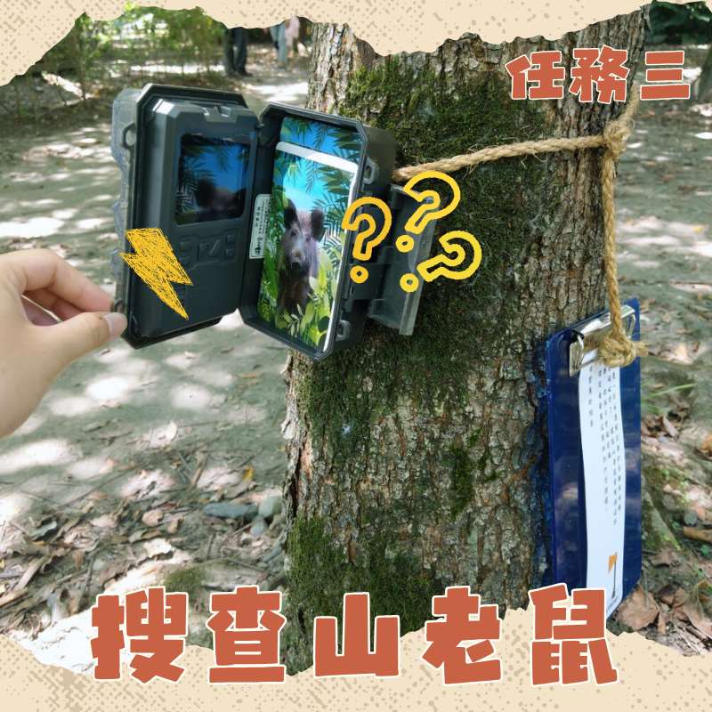 追蹤山老鼠出沒路線,了解森林守護者的各種任務。