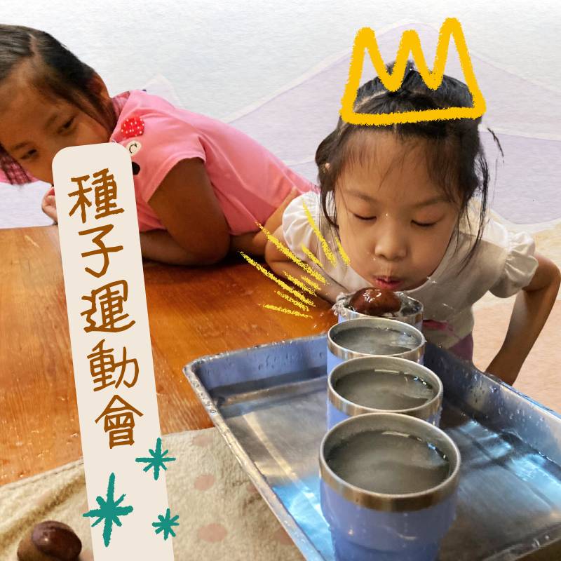 呼呼呼~像小船一樣的種子,幫忙指引他的方向吧!