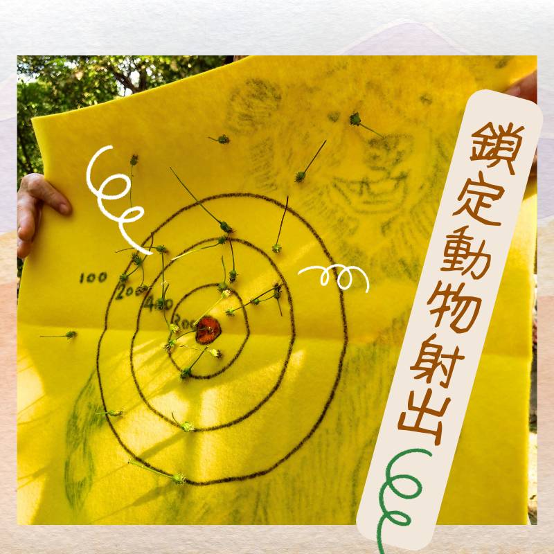 魔法師們,瞄準好目標動物,準備射擊囉!