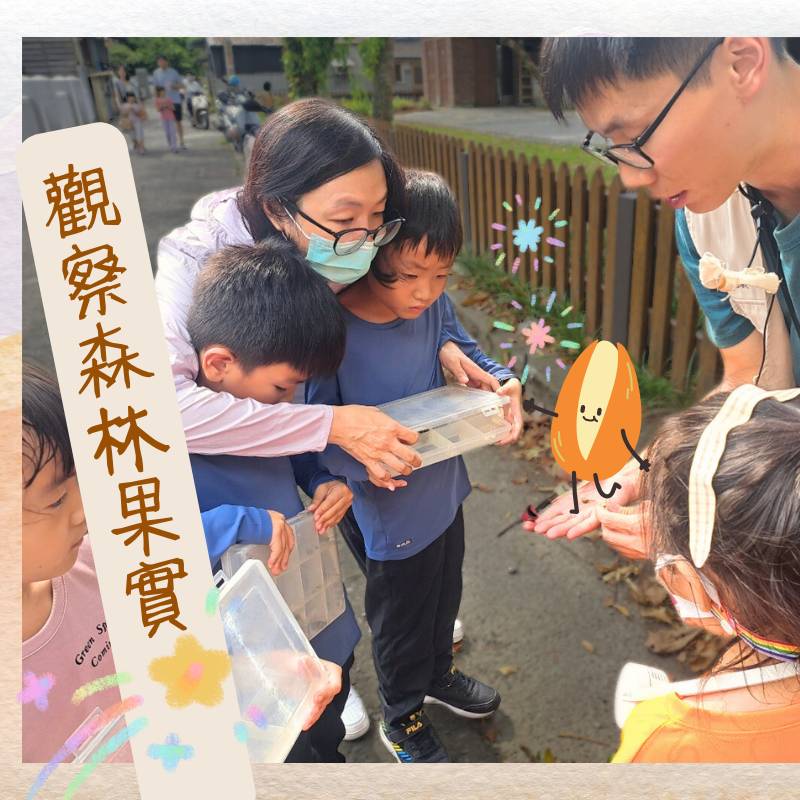 在林場走一圈,認識當季的可愛小果實