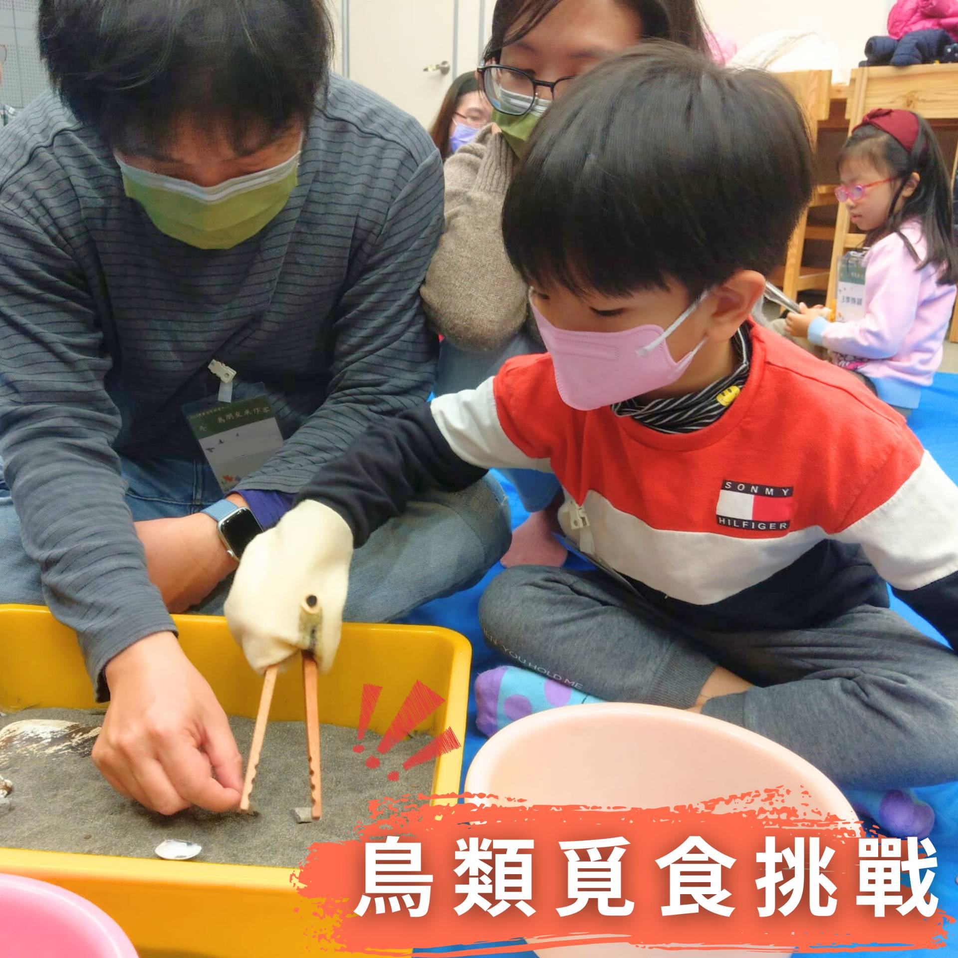 透過繪本故事、教具體驗,認識鳥類生態