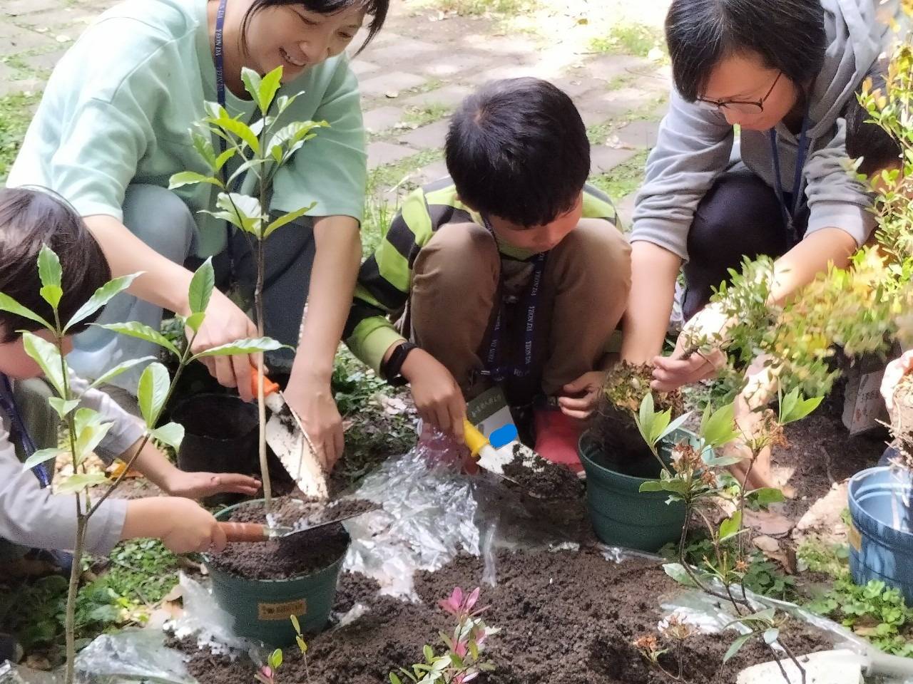 最後帶一盆小樹回家照顧，記得時時關注它的健康狀態唷