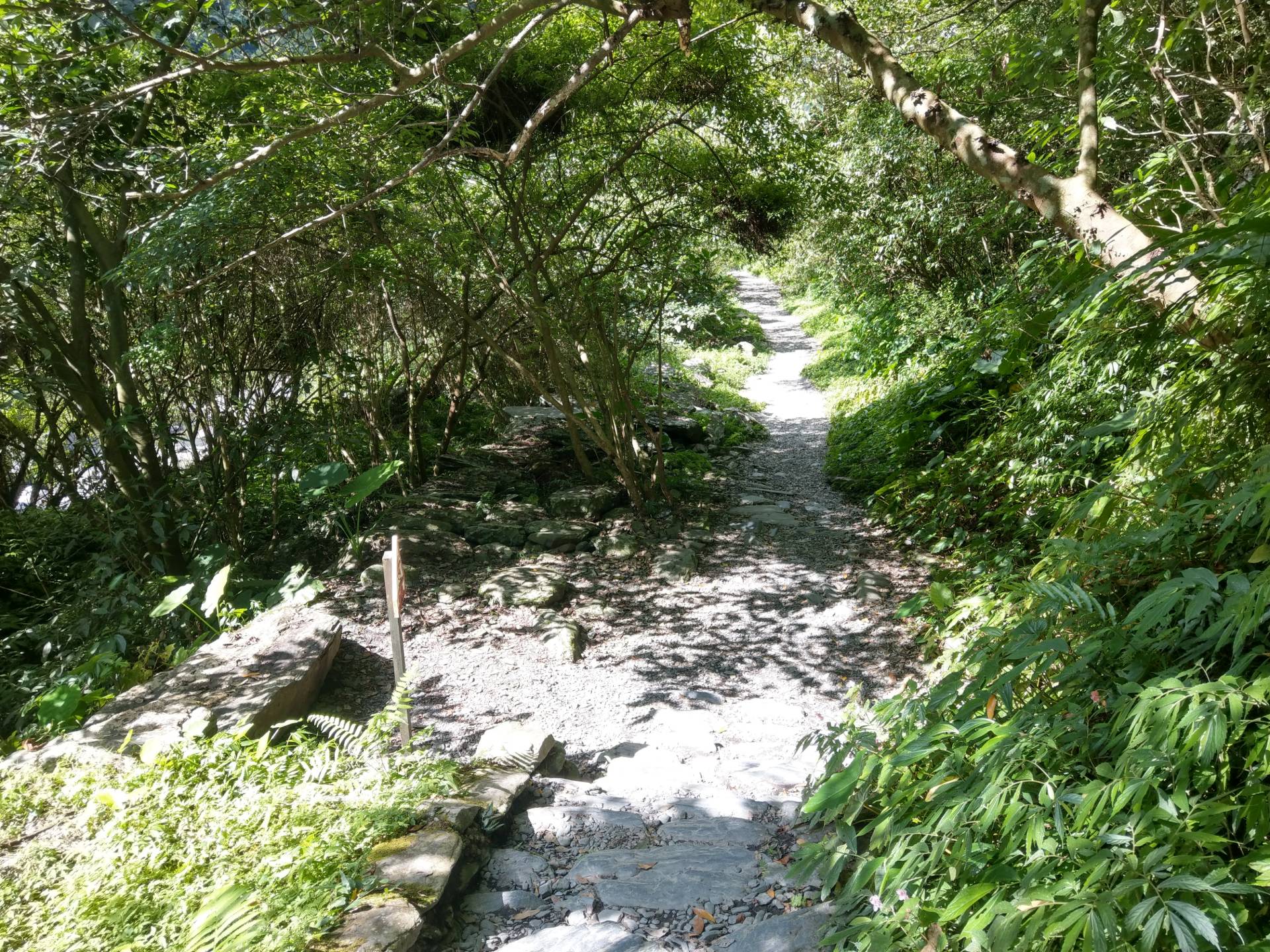秋天的淺山森林又有哪些種子躲在裡面呢？
