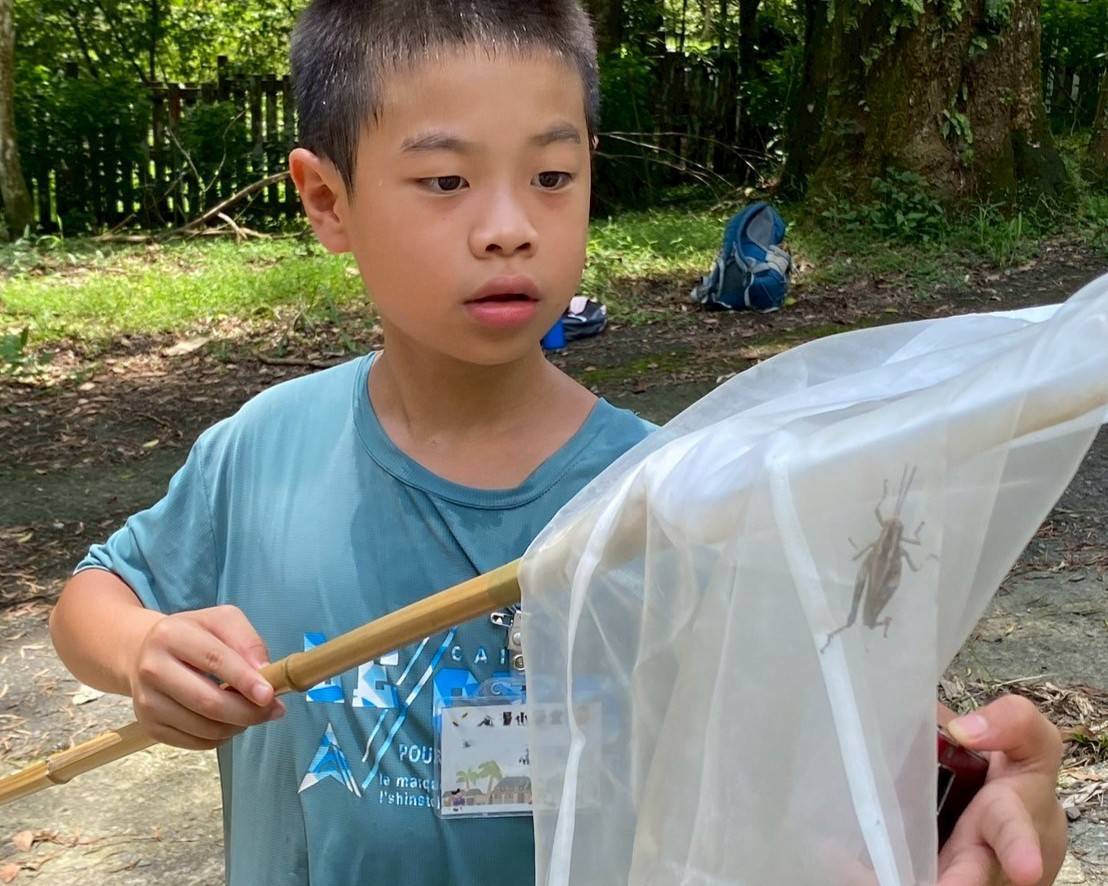 親手採集與近距離觀察，好奇心與成就感大滿足的夏天