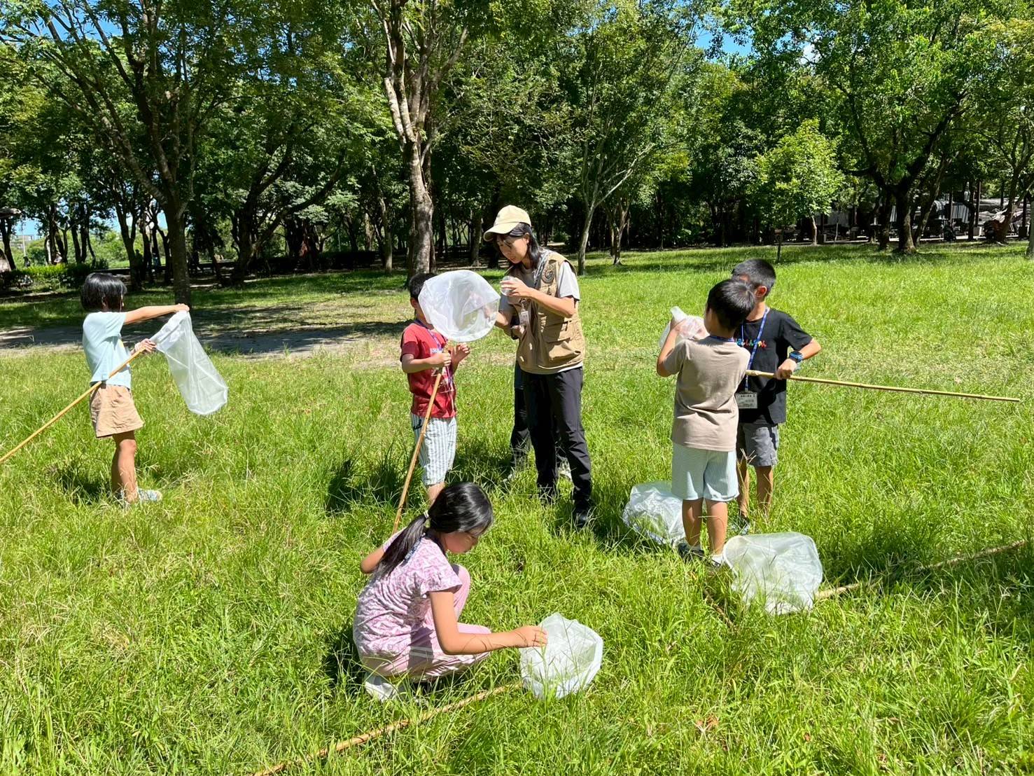 帶上捕蟲網，學習採集技巧，放大眼睛觀察生物有趣的特徵