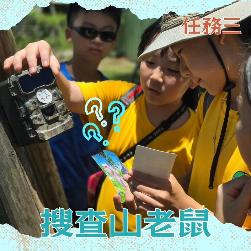 追蹤山老鼠出沒路線，了解森林守護者的各種任務。