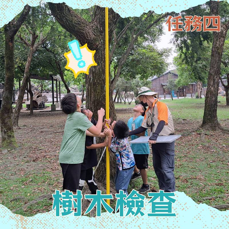 帶上專業器材，丈量一片森林的身高