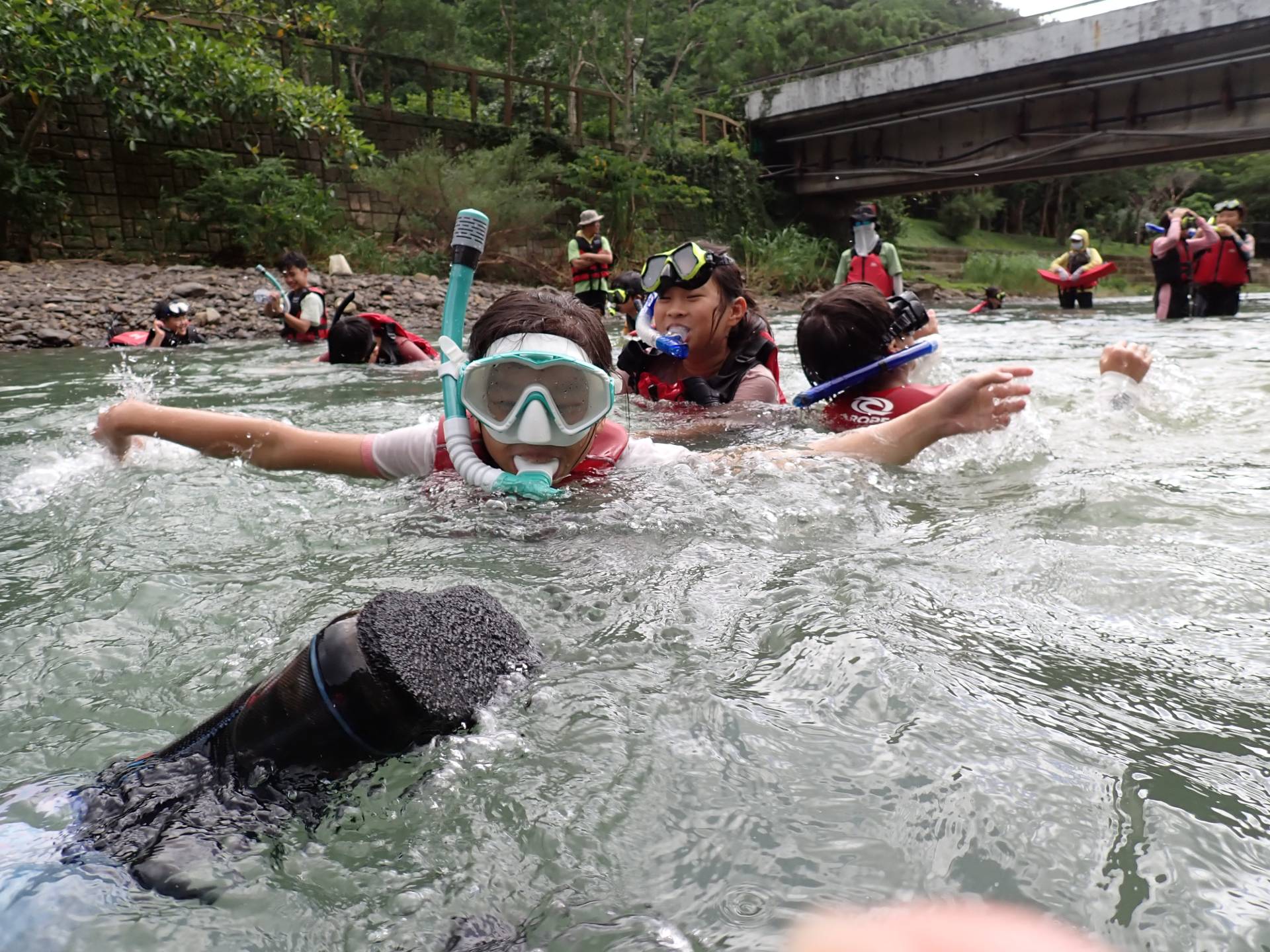 讓我來看看水底下有什麼魚