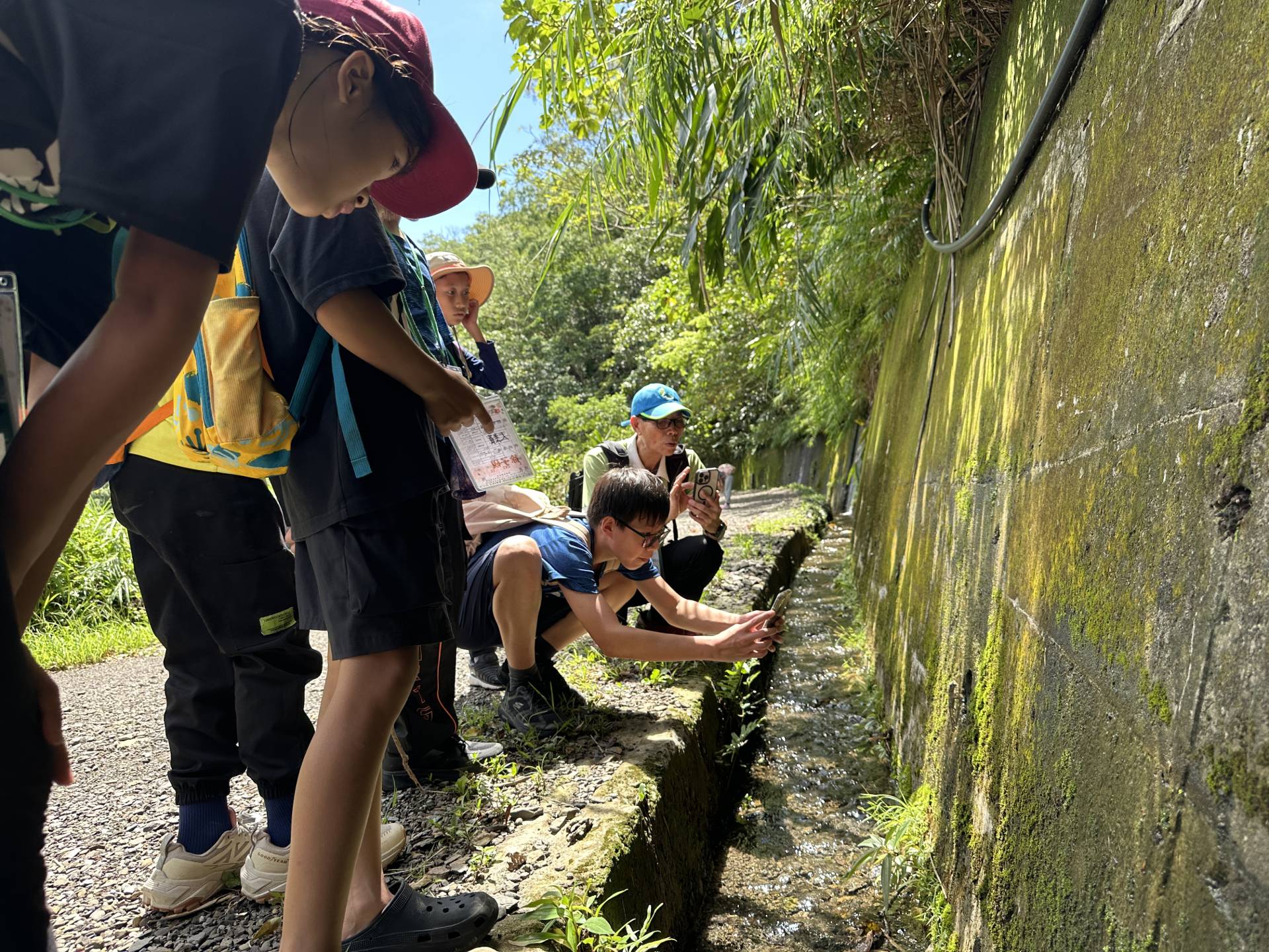在步道旁邊發現了什麼！