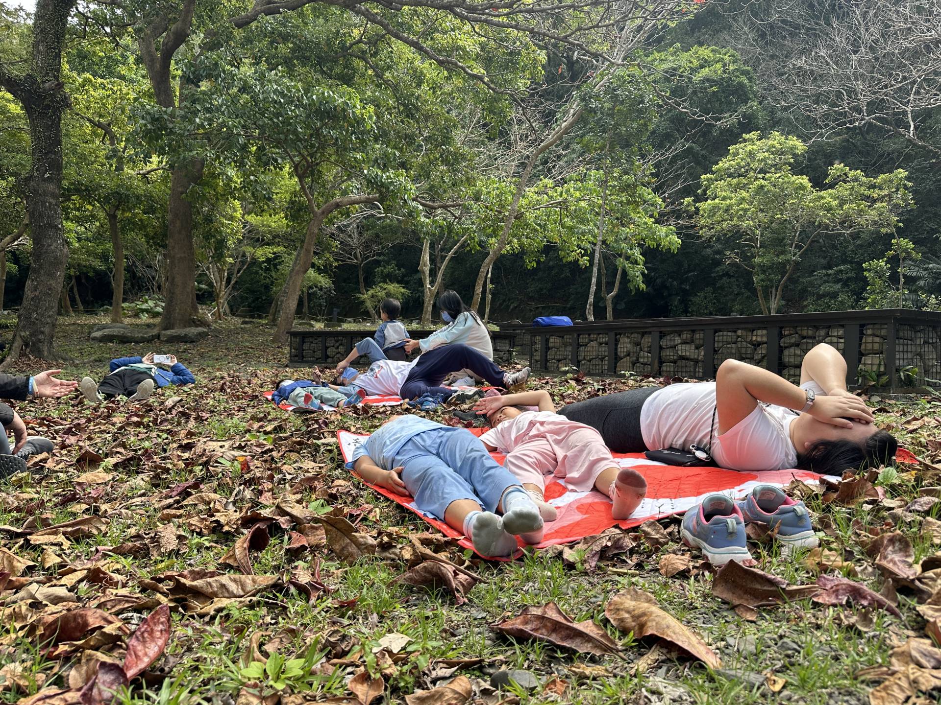 享受在鬆軟的落葉上放鬆