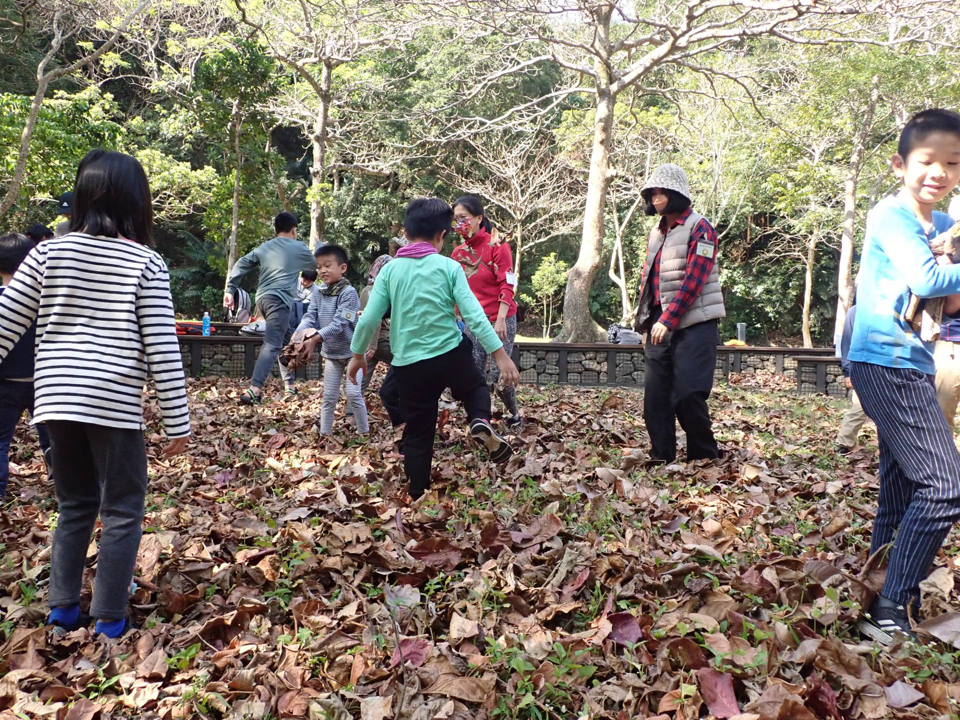 在春季的落葉中，打開五感，尋找驚喜