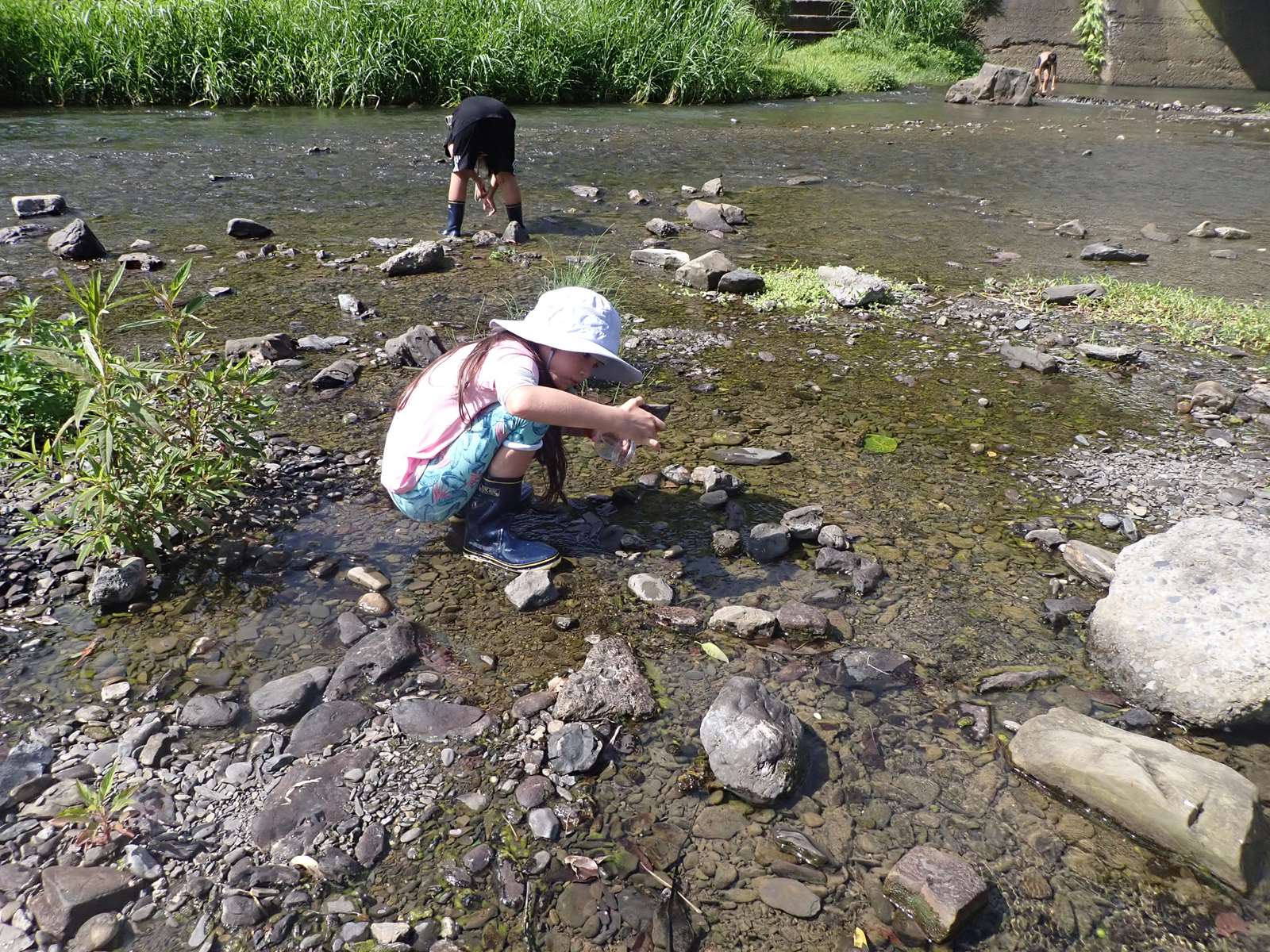 在溪流中進行水生昆蟲的觀察與紀錄