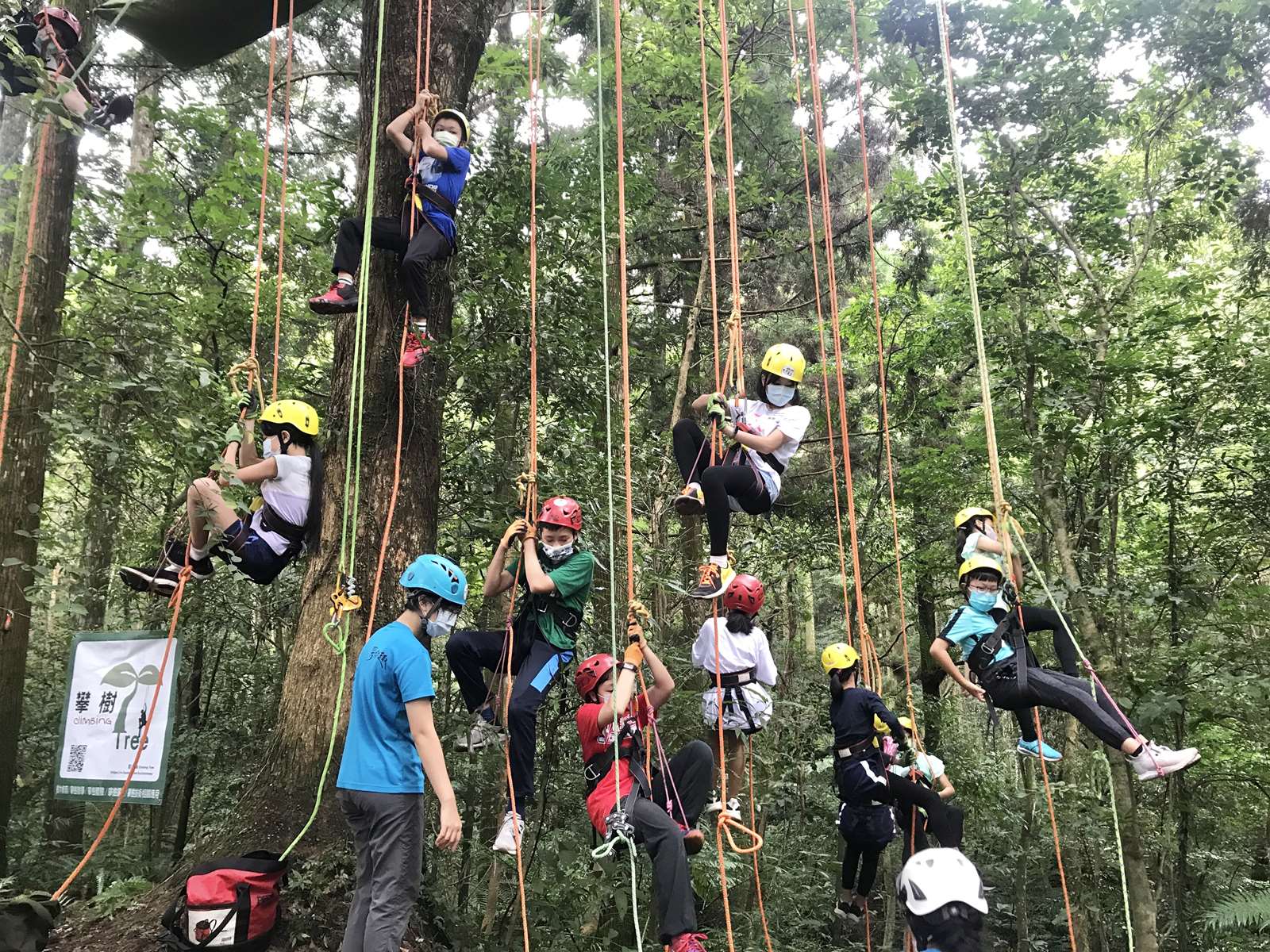 暑假營隊｜東忍學堂之森林修煉帖：攀樹之術