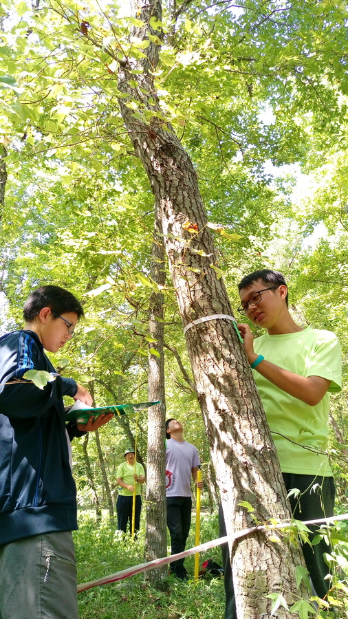 環境教育4小時課程-森林解密行動