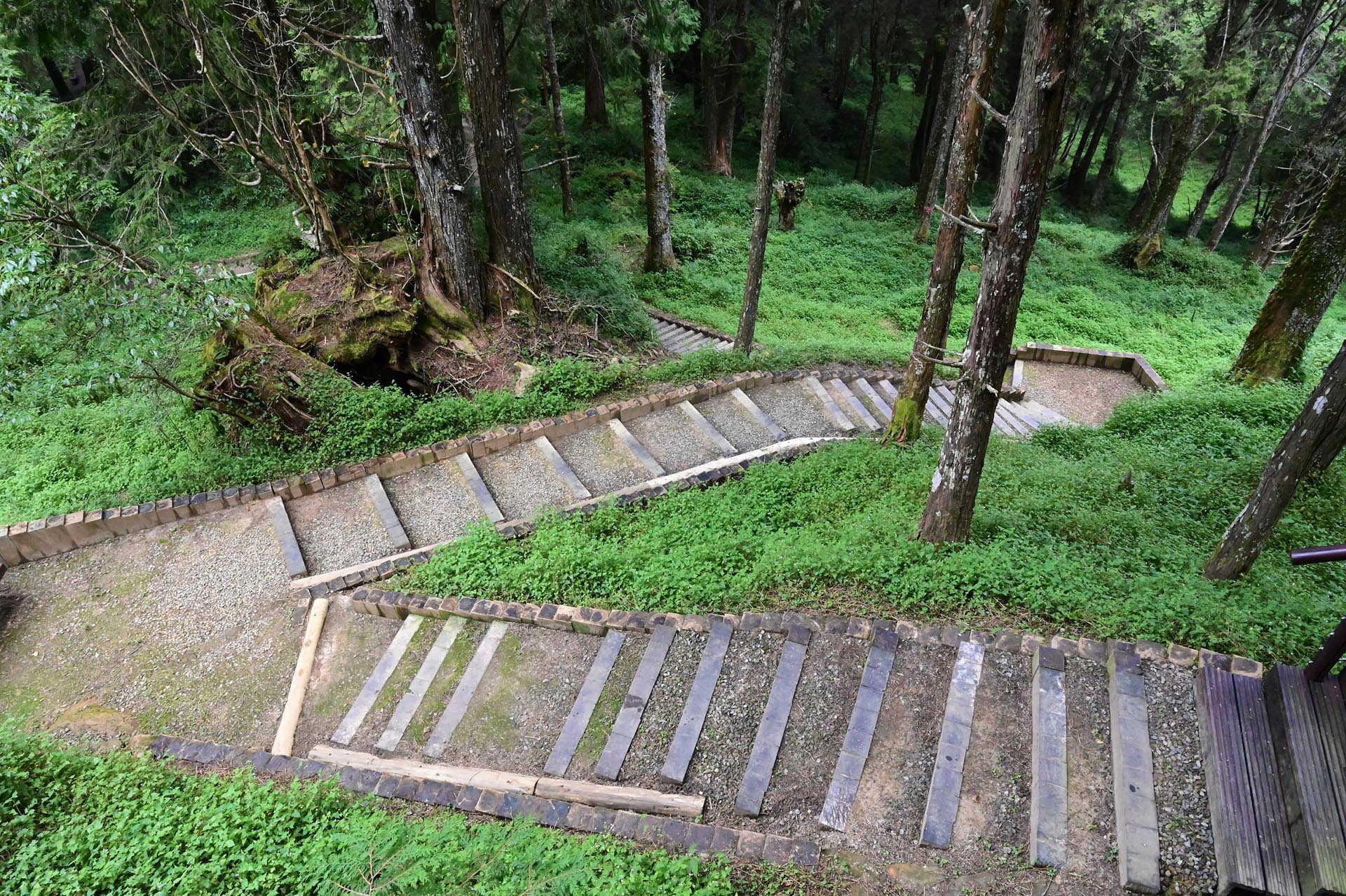 水山療癒步道以手作步道、降低生態干擾方式打造