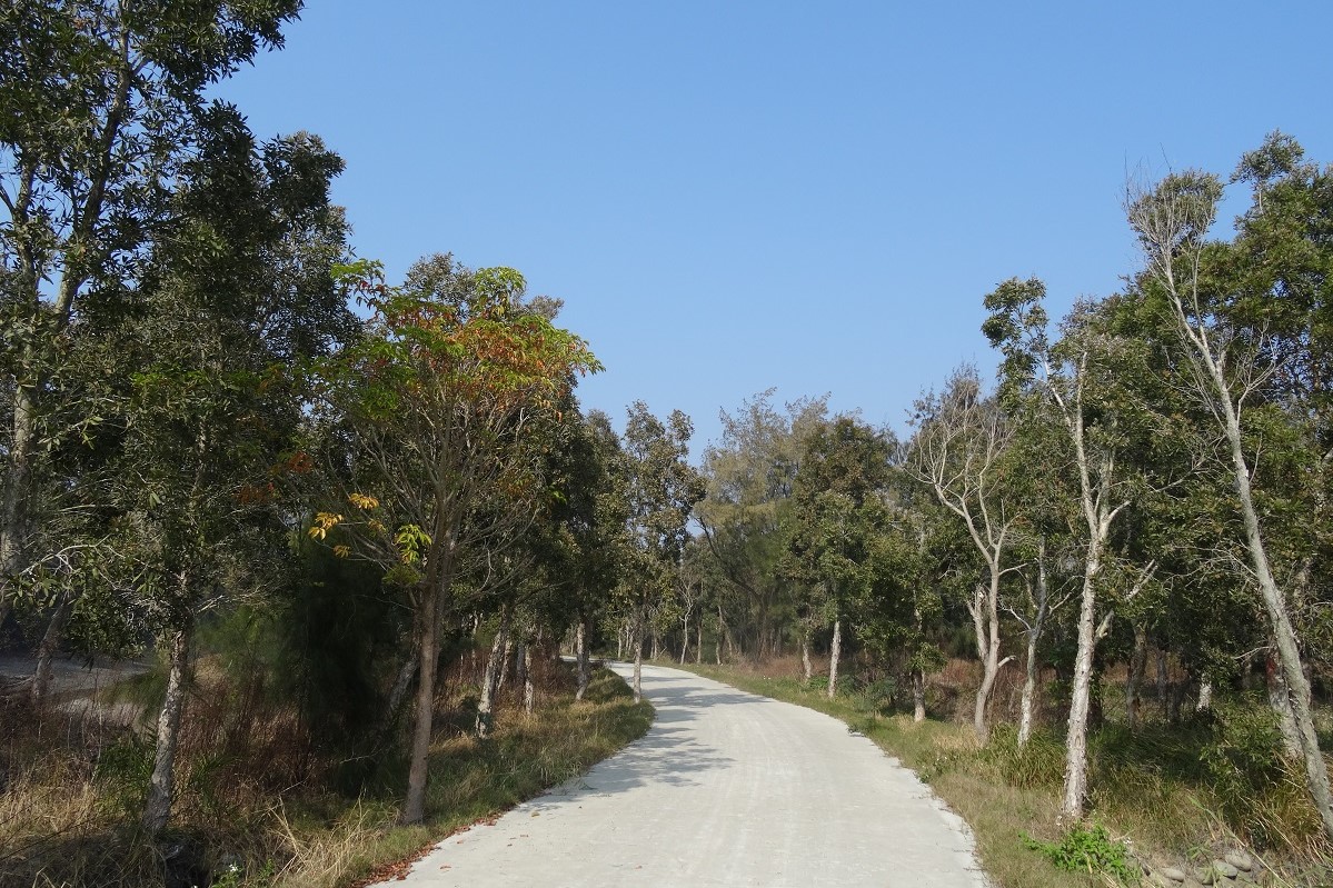 平地造林區營造休憩步道及自行車道