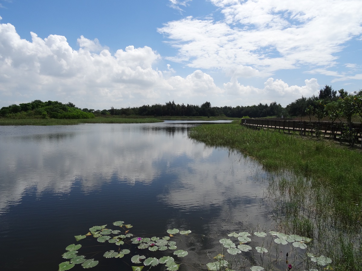 低窪易淹水區營造為人工濕地-2-嘉義林管處提供