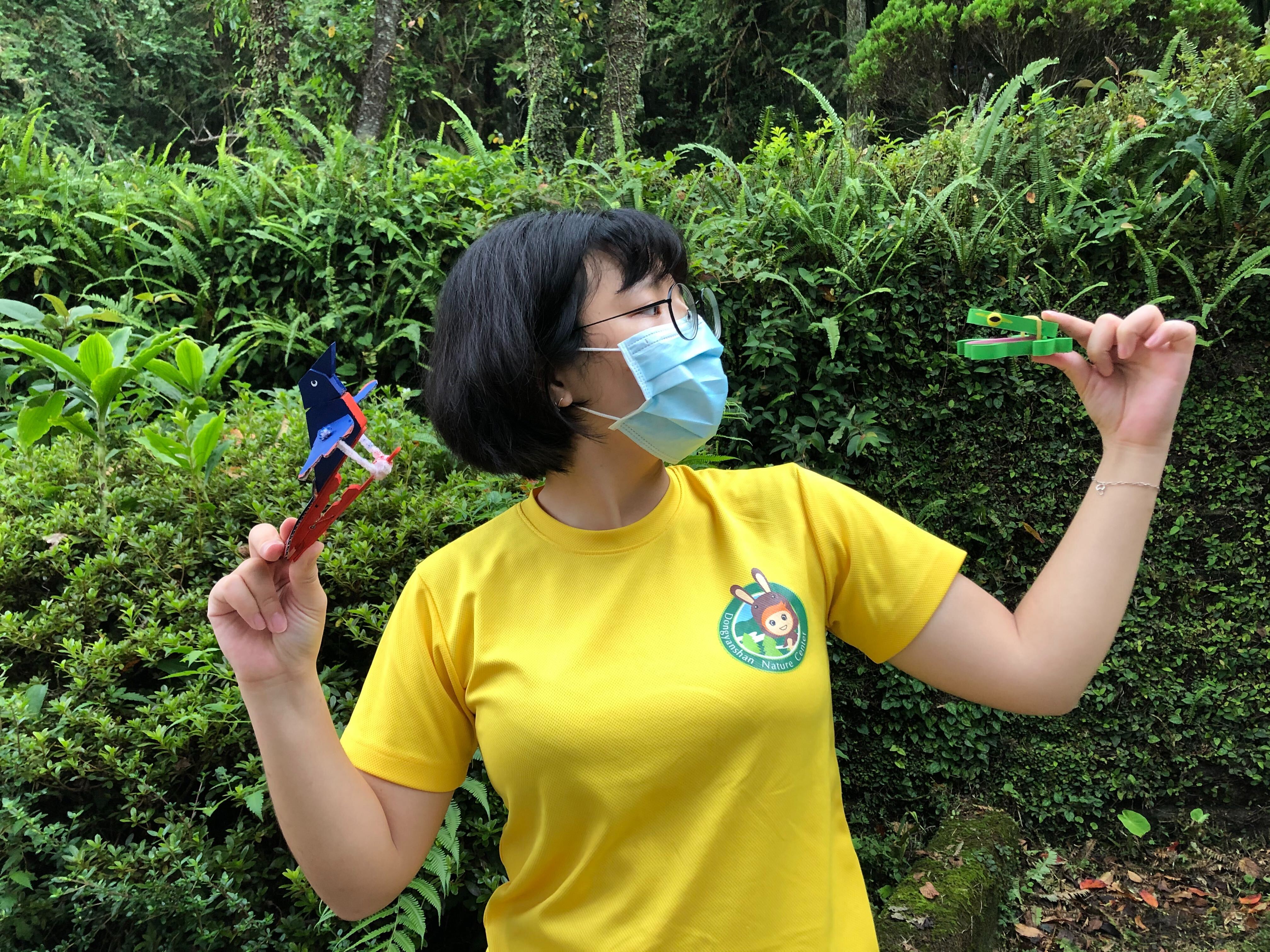 包含兩種木育DIY材料-飛鳥騎士和呱呱響板