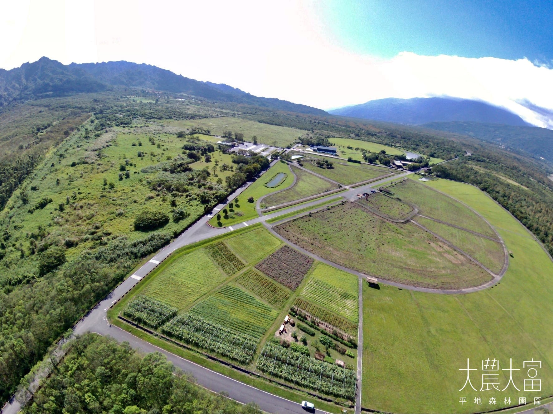 香蘭湯圓